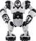 Egy fekete-fehér, emberi formájú robot áll egyenesen.