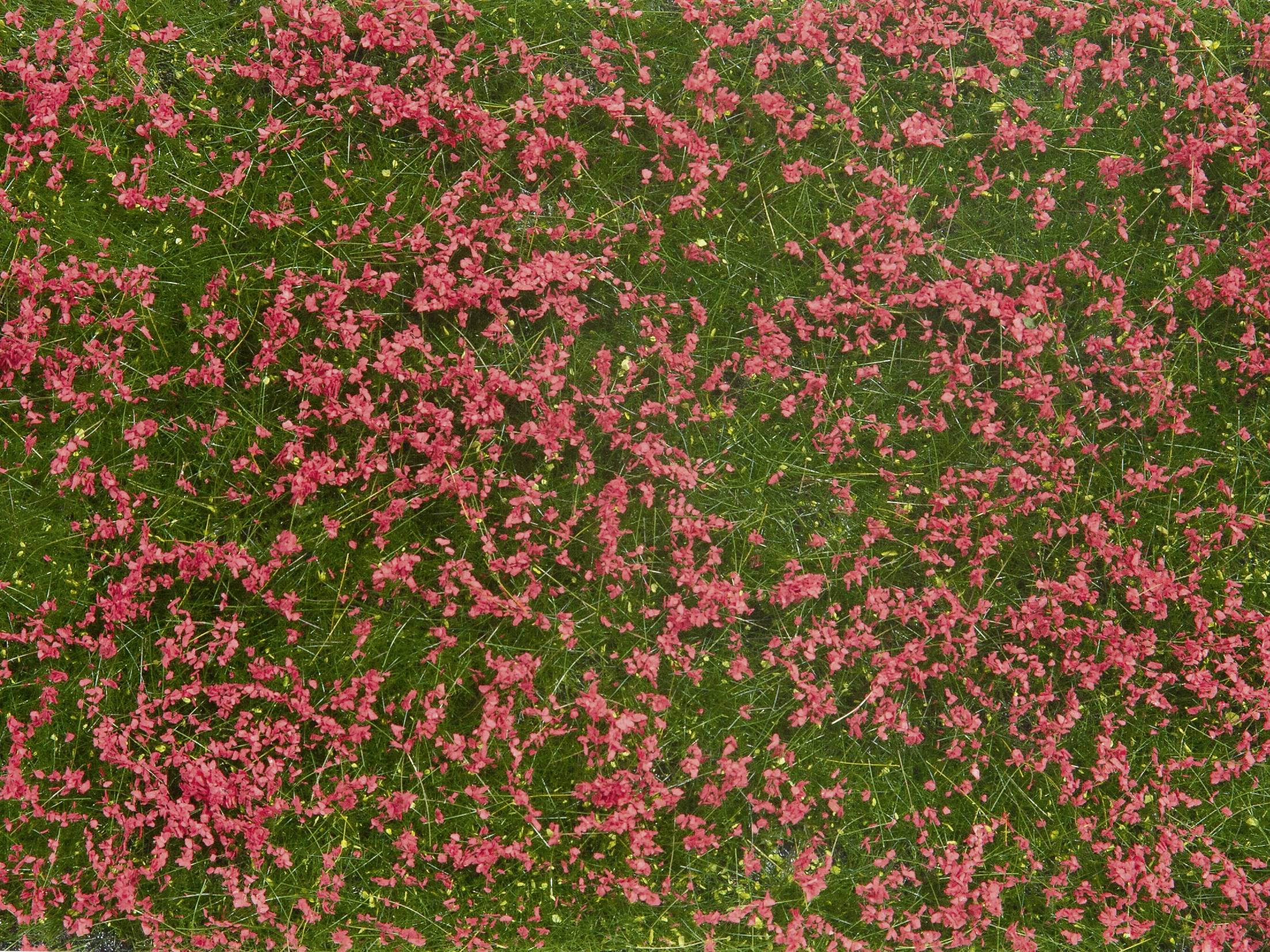 Piros sziromszirmok szétszórva a zöld füvön, élénk mintázatot alkotva a kontrasztos színekkel.