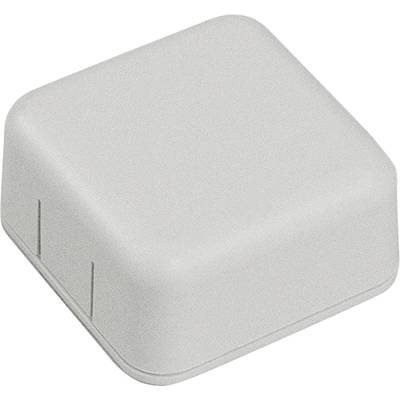 Egy kisméretű, négyzet alakú, világosszürke műanyag tartály lekerekített sarkokkal, valószínűleg elektronikai eszköz háza.