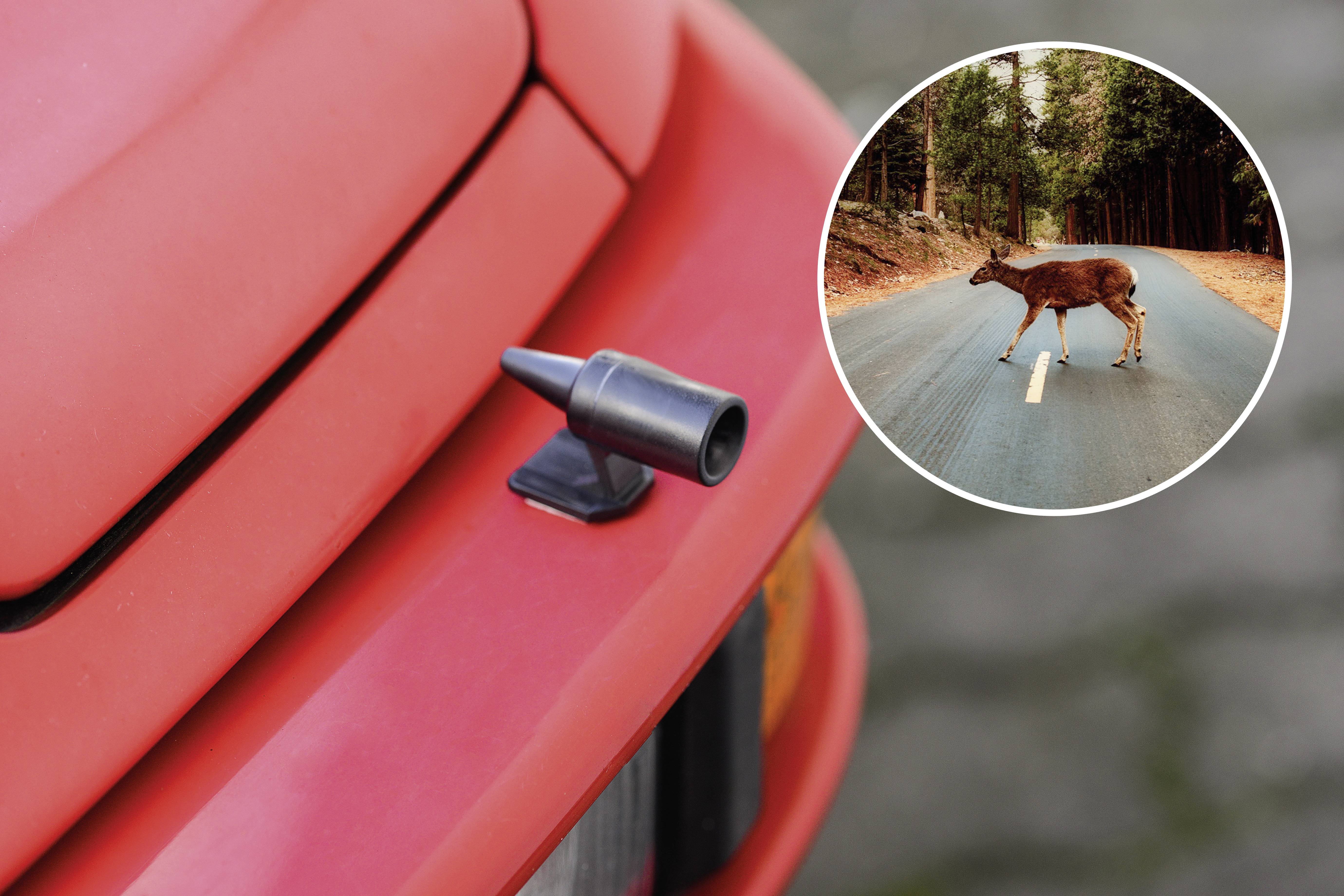 Egy piros autó közeli felvétele, amelynek lökhárítóján egy vadvédelmi figyelmeztető eszköz van. A háttérben egy szarvas képe látható, amint átkel az úton.