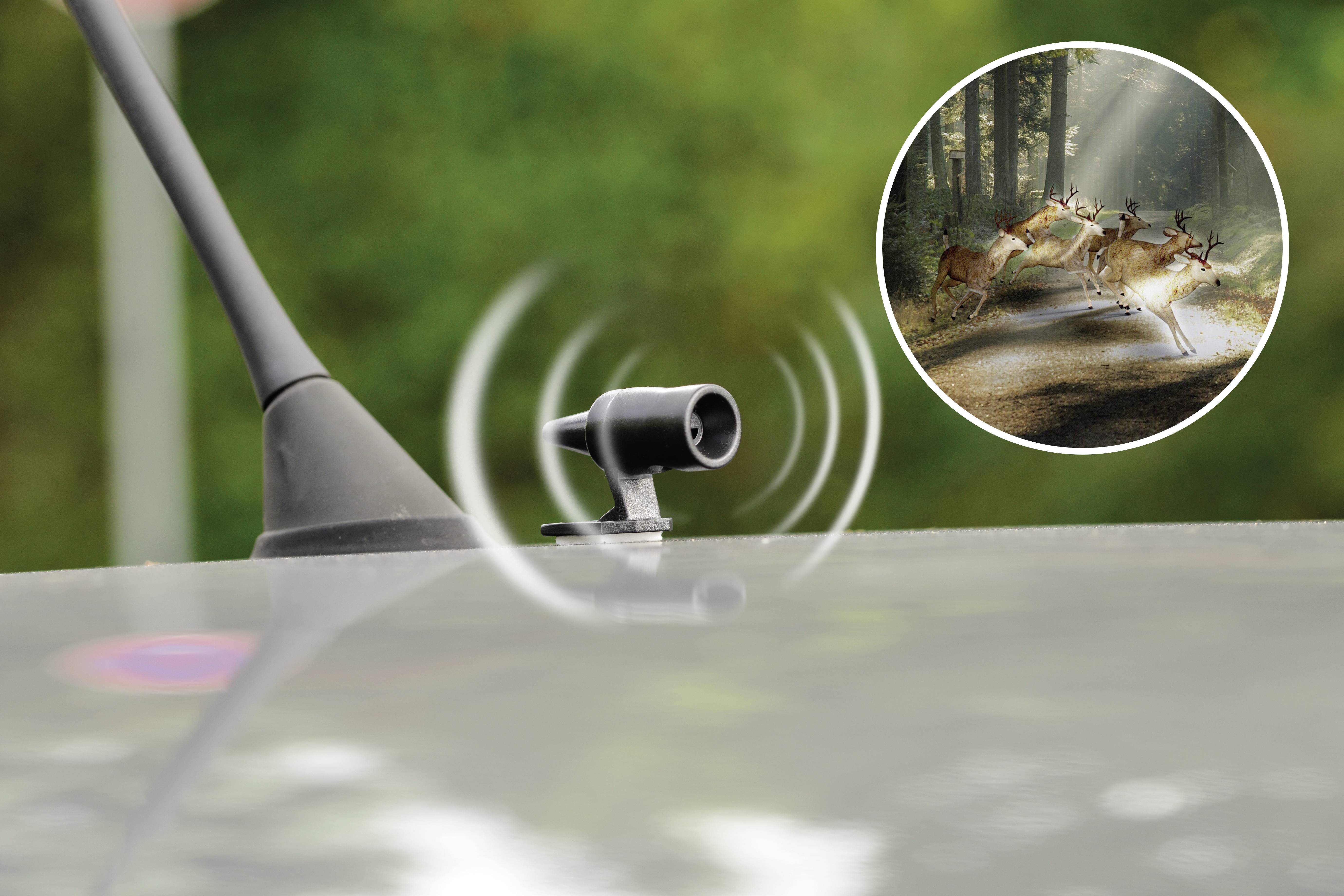 Egy vadvédelmi riasztórendszer szenzora egy autón mutat jelzéseket működés közben. A kép jobb felső sarkában vadátkelő szarvasokkal az erdőben.