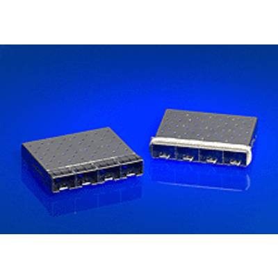 Molex MOL DataCom & Specialty 747540410 Molex Tartalom: 1 db