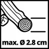A faág 2,8 cm maximális átmérővel, egy metszési vonal mellett ábrázolva.