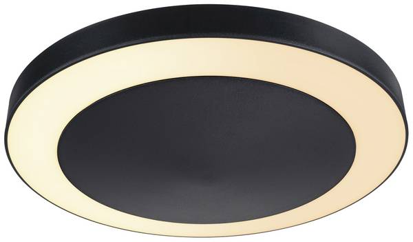 Paulmann Circula 94525 LED-es kültéri mennyezeti lámpa    14 W Antracit