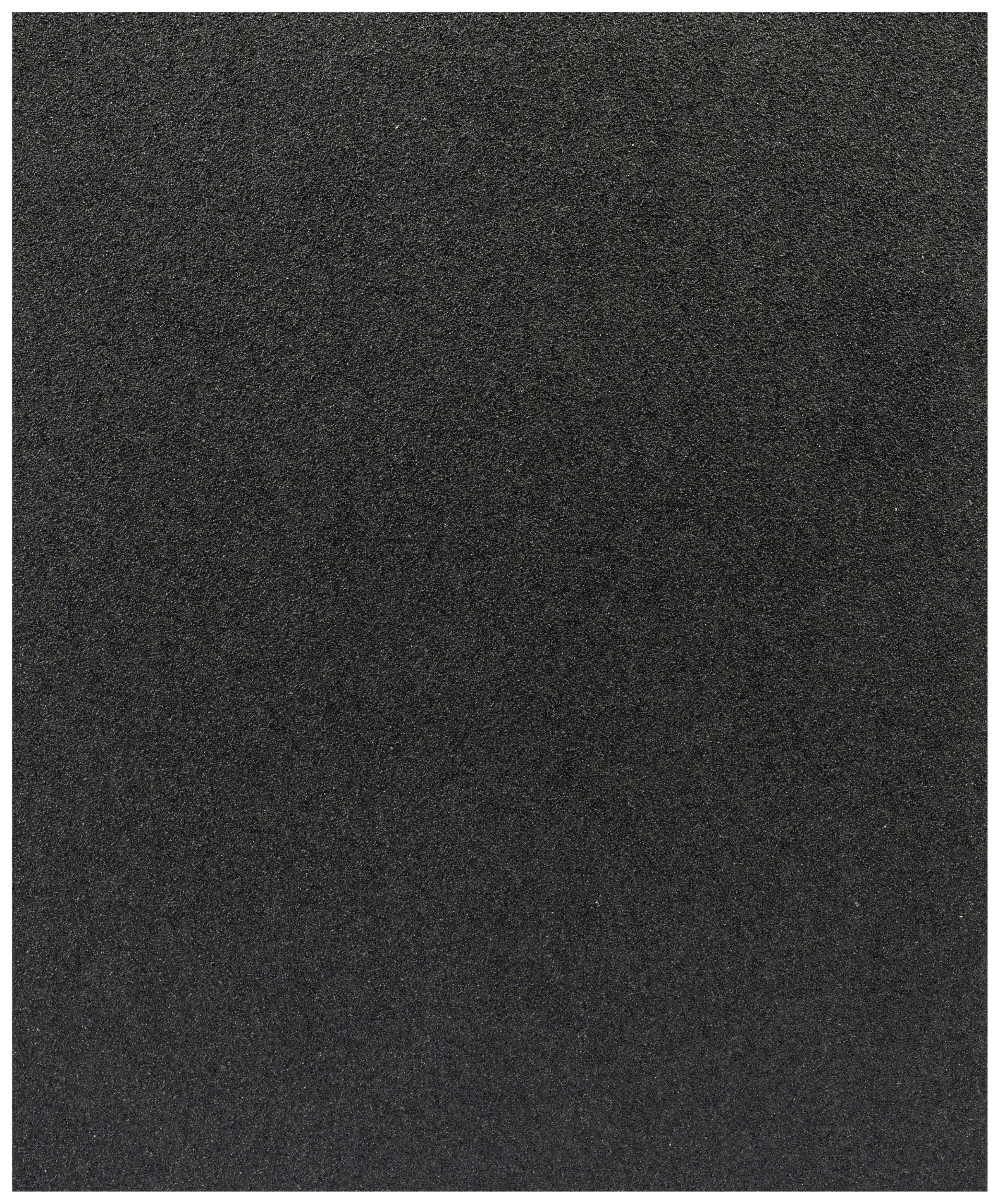 Bosch Accessories C355 2608608H61 Csiszolólap Szemcsézet 80 (Sz x Ma) 230 mm x 280 mm 1 db