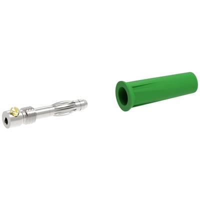 Electro PJP 1060-C-CD1-V Banándugó Dugó, egyenes Tű átmérő: 4 mm Zöld 1 db