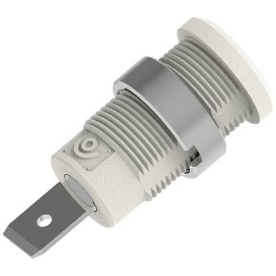 Electro PJP 3266-C-CD1-BC Biztonsági labor alj Tű átmérő: 4 mm Fehér 1 db