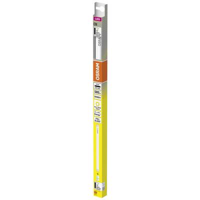 Sárga és narancssárga színű Philips izzó csomagolása, amelyen a '10W 865 G13 220-240V' modellszám látható. Az energiahatékonysági A-osztály címkéje szintén jól kivehető.