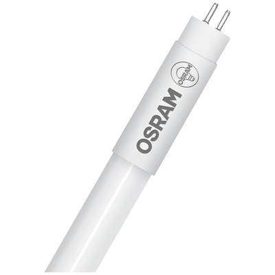 Egy fehér, hengeres LED-cső az 'OSRAM' felirattal és két elektromos érintkezővel az egyik végén.
