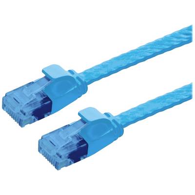 Két kék Ethernet-kábeldugó egymás mellett, közelről ábrázolva. Azonosak és hálózati csatlakozásra alkalmasak.