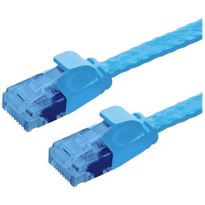 Két kék Ethernet-kábel csatlakozókkal.