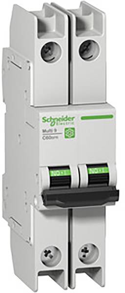Egy Schneider Electric gyártmányú, kétpólusú kismegszakító zöld felirattal és fekete kapcsolóval fehér háttéren.