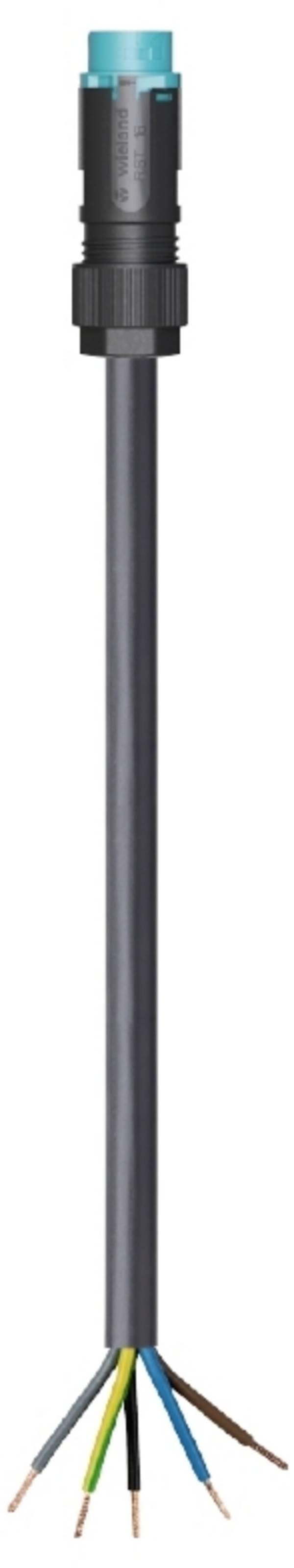 Wieland Electric 46.453.8064.6  Csatlakozóvezeték  Fekete 8 m