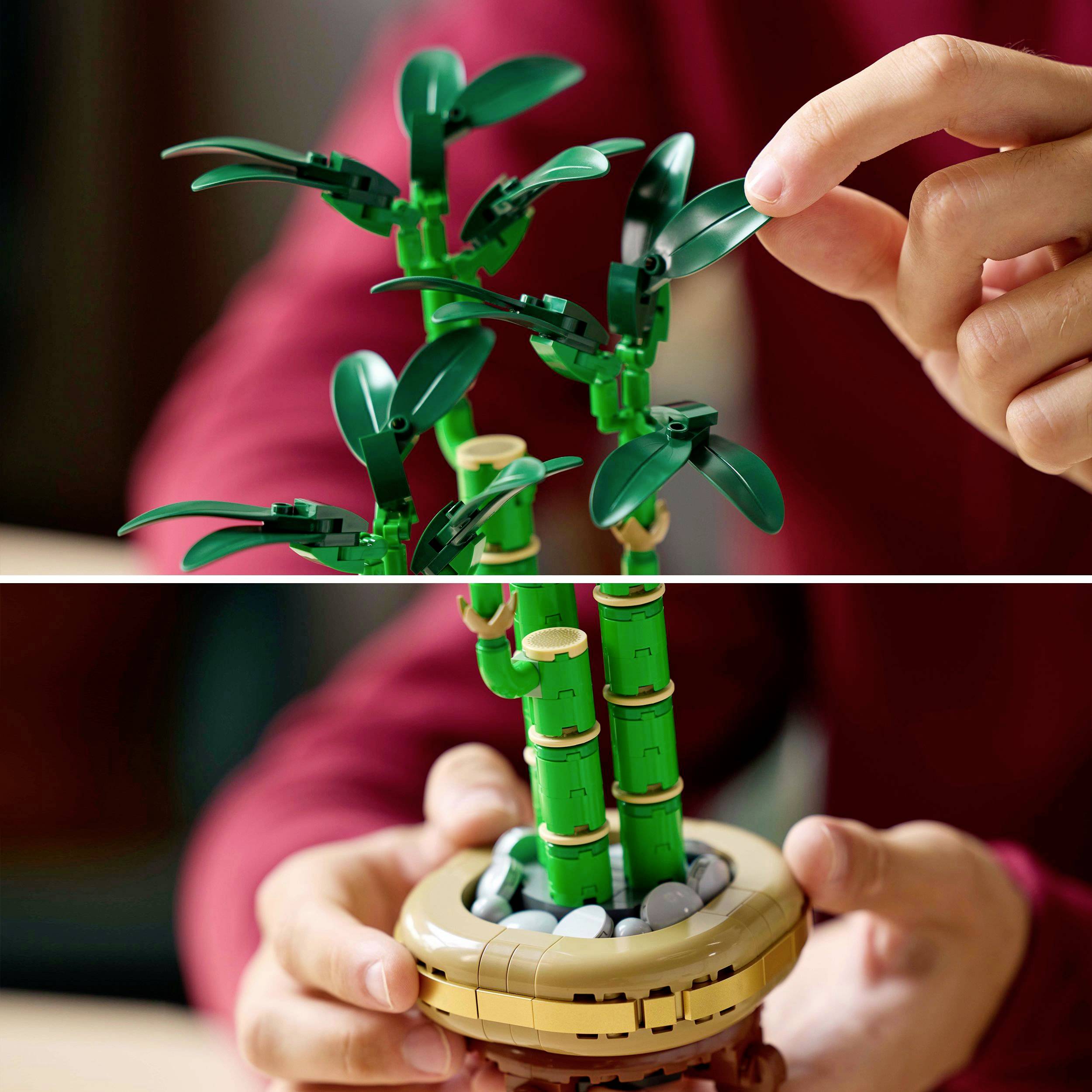 Két fénykép kezekről, amint egy kisméretű bambusz modellt raknak össze építőkockákból. A növények zöldek kerek levelekkel.