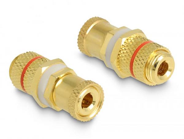 Delock 64145 64145 Összekötő Audio Átalakító [1x Póluscsipesz - 1x Póluscsipesz] Arany