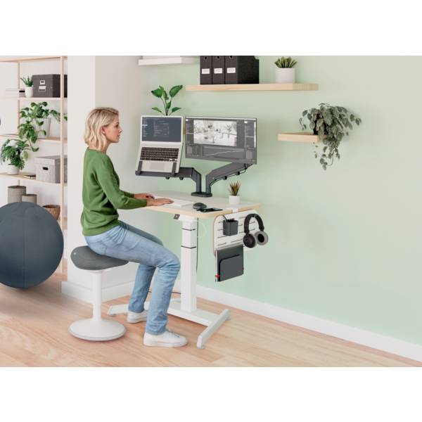 Egy személy egy magasságállítható íróasztalnál dolgozik két monitorral. A helyiség modern berendezésű, növényekkel és polcokkal.