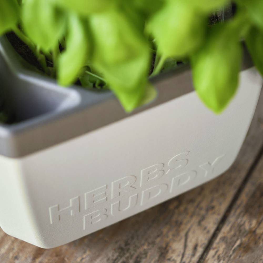 Egy zöld fűszernövény cserép áll egy fából készült asztalon. A cserépen 'HERBS BUDDY' felirat látható.