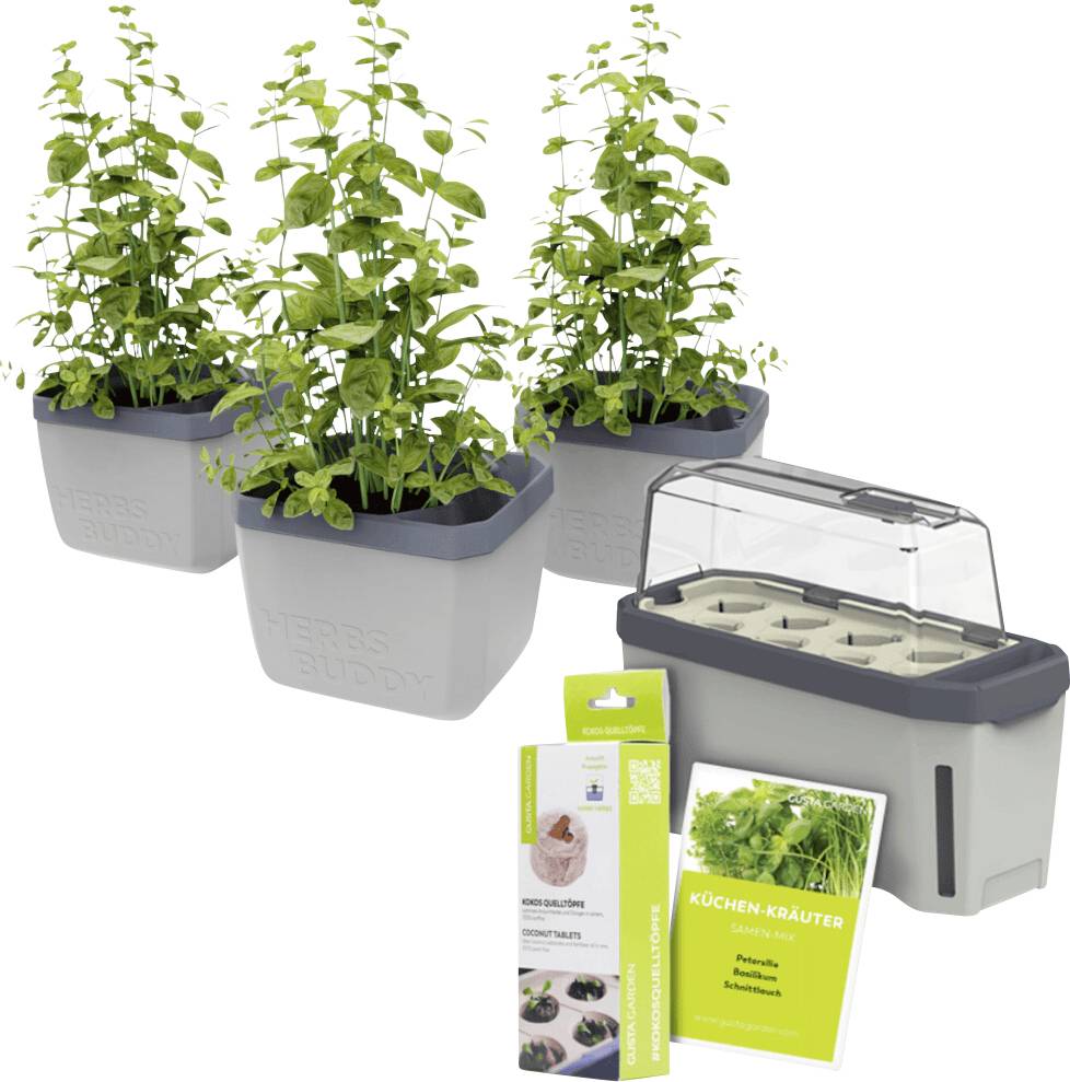 Három konyhai fűszerekkel beültetett cserép egy mini üvegház mellett. Mellette egy csomagolás áll növényápolási útmutatóval.