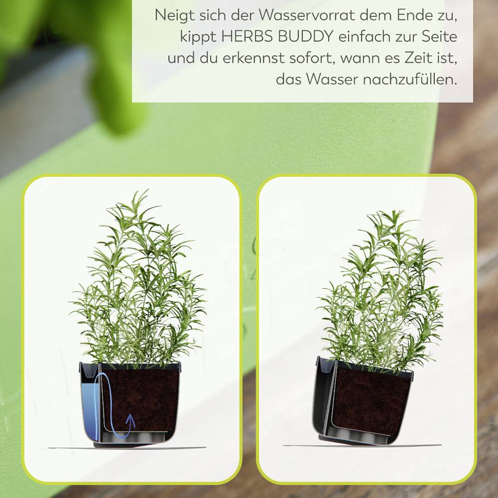 'HERBS BUDDY' Növénycserép vízszint-jelző funkcióval. Balra az alacsony vízszint jelzése látható, jobbra a teli víztartály.