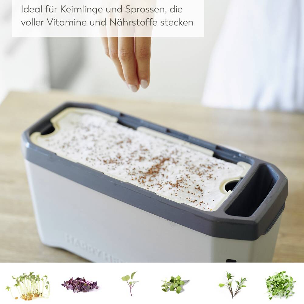 Egy nő öntözi a zöldségeket, amelyek egy tartályban nőnek, föld nélkül. A kép alatt különféle zöldségfajták láthatók.