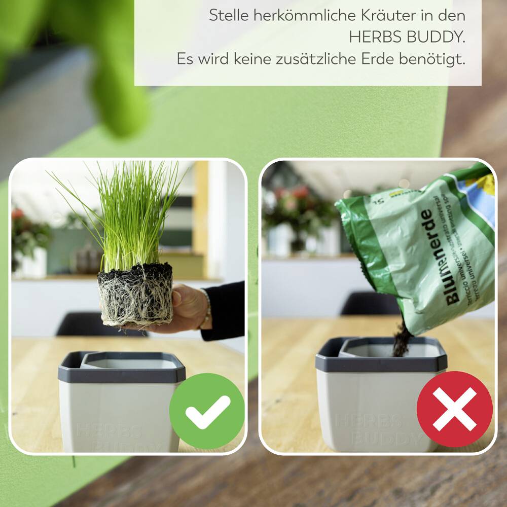 Kéz szór magokat egy automatikus csíráztatóállomásra csíranövények és hajtások neveléséhez. Felső szöveg: 'Ideális vitaminokban és tápanyagokban gazdag csíranövényekhez és hajtásokhoz'.