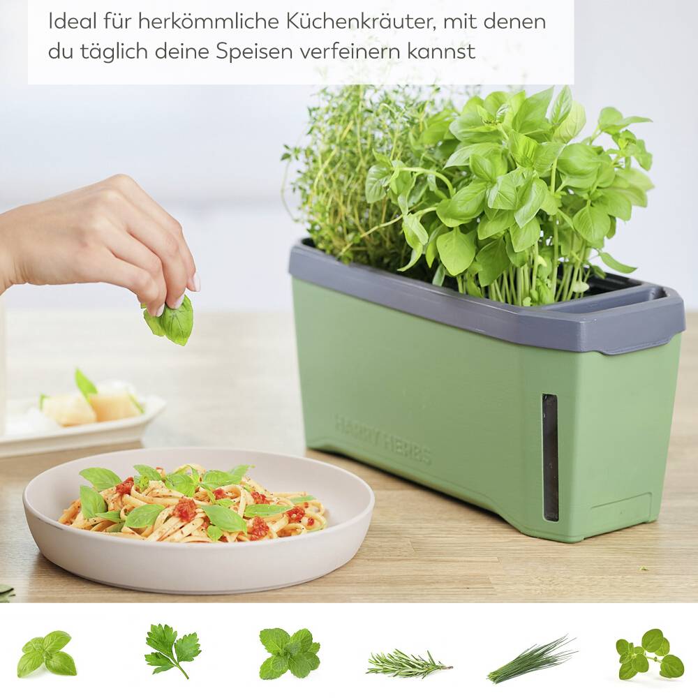 Egy kéz gyógynövényeket szed egy hidroponikus növénytartóból, mellette egy tányér tészta friss fűszerekkel. Felső szöveg: 'Ideális konyhai fűszernövényekhez'.