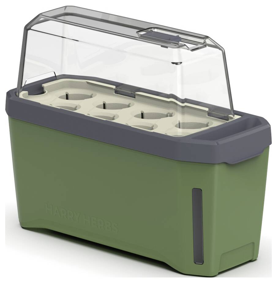 Zöld asztali üvegházláda átlátszó fedéllel, hat kerek ültetőedénnyel és vízszintjelzővel, fűszernövények termesztésére alkalmas.