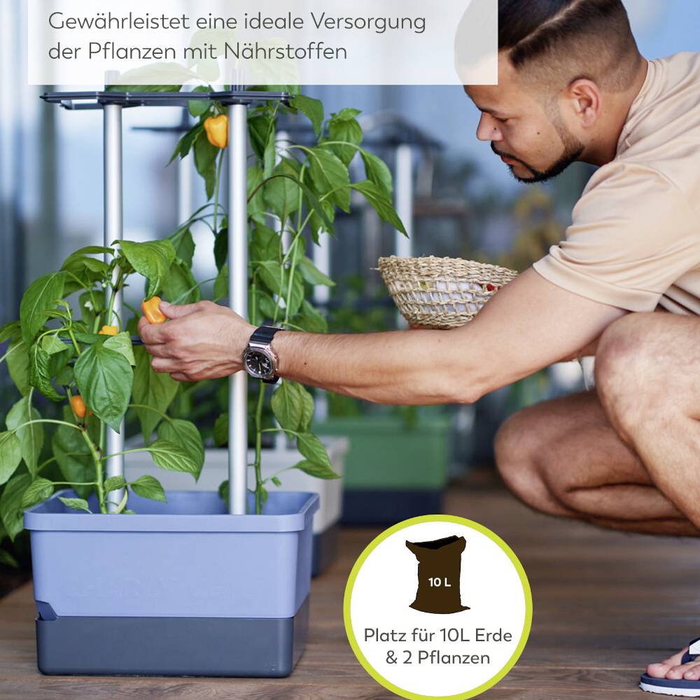 Egy személy gondozza a növényeket egy cserépben, amely optimális két növény számára és 10 liter földdel. Egy tábla mutatja a tápanyag-ellátás előnyeit.