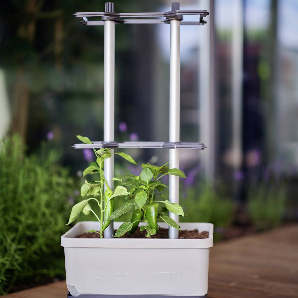 Egy kis növénytartó két növekvő növénnyel, amelyeket egy fémszerkezet támaszt alá. A háttér elmosódott, növényekkel.