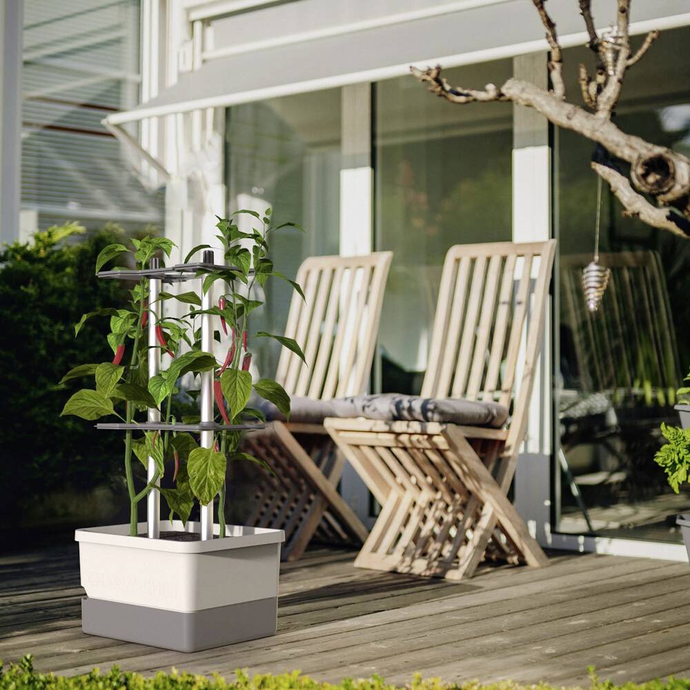 Egy kis virágcserép támasztóráccsal, benne növények nőnek. A háttérben két faszék áll egy teraszon.