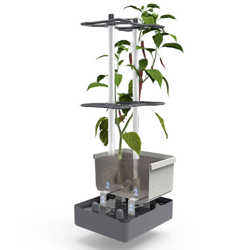 Egy mini üvegház készlet növekvő növénnyel. A rendszer szinteket mutat, amelyeken keresztül a növény nő, szemlélteti a növekedési lépéseket és a szellőzést.