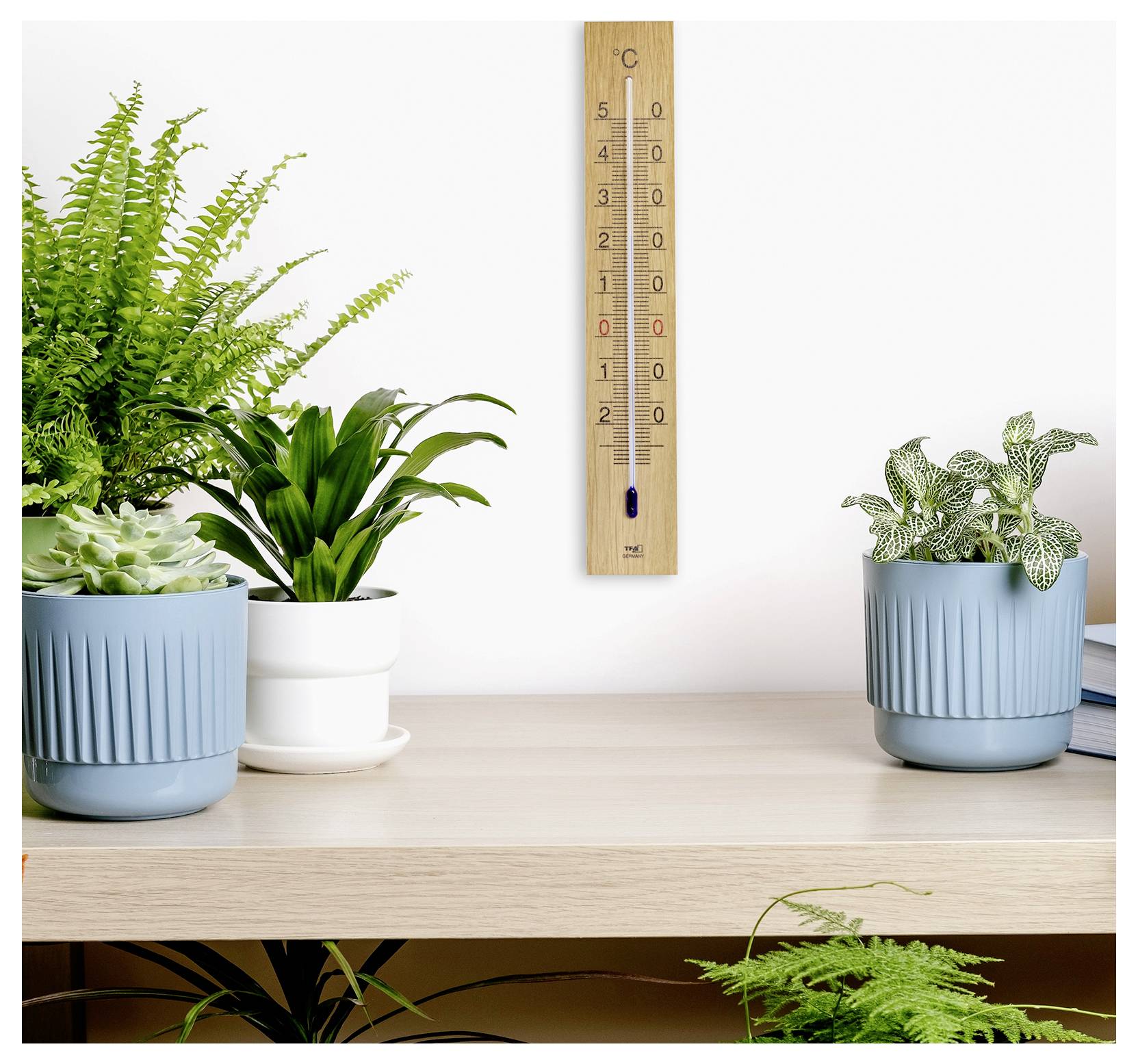 Egy fa hőmérő 20°C-ot mutat egy fehér falon, zöld cserepes növények által körülvéve egy fa polcon.