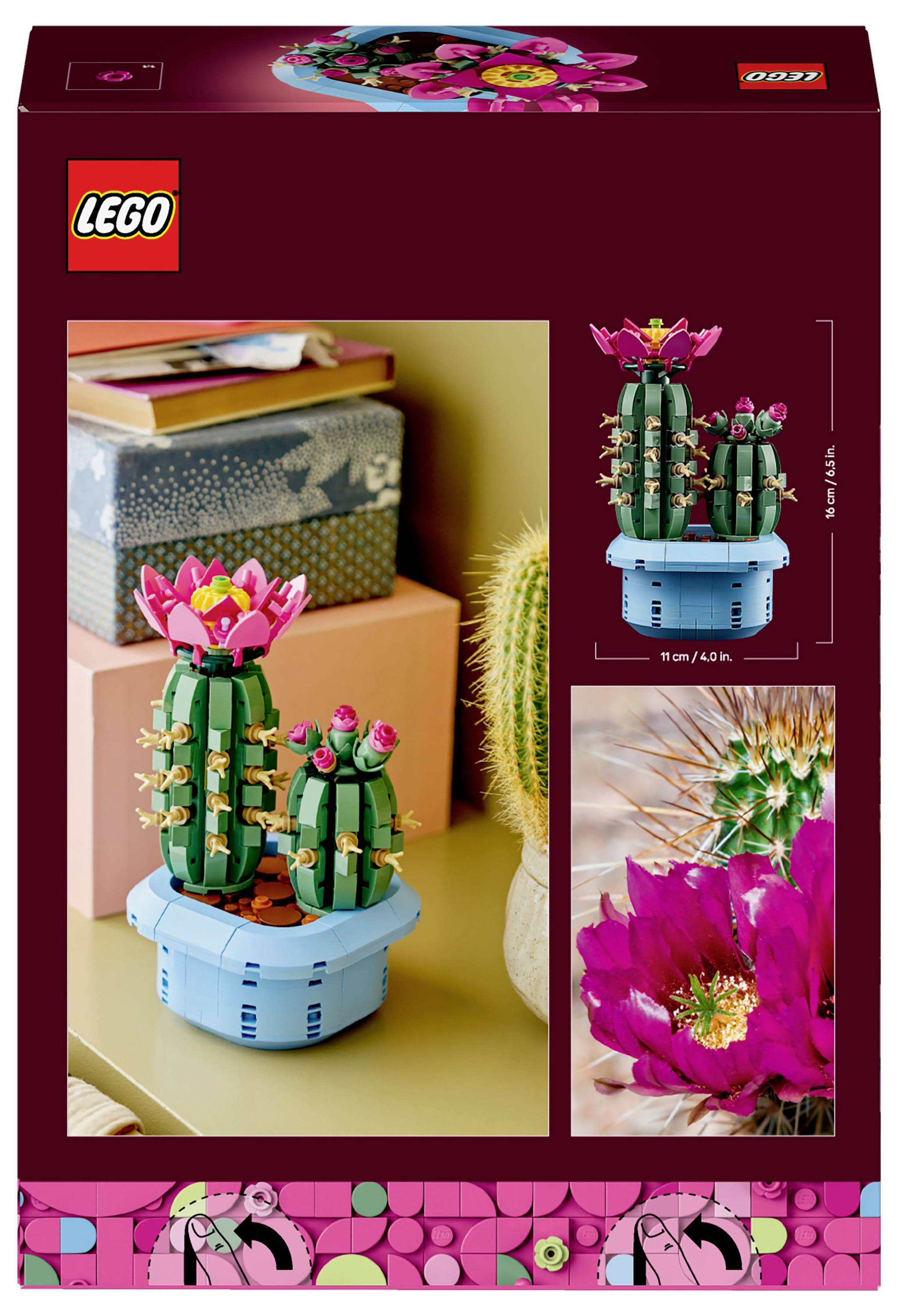 Egy színes LEGO kaktusz szett rózsaszín virágokkal egy asztalon. A doboz mutatja az összeállított modellt és részleteit, amelyek élénk sivatagi növényeket ábrázolnak.