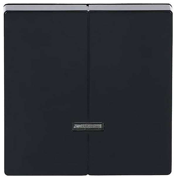 Busch-Jaeger   Dimmer    2CKA006599A2906  1 db