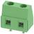 Zöld kétpólusú kapocsléccel két körös nyílással és metallic csatlakozókkal az alján, elektromos vezetékcsatlakozásokhoz használva.