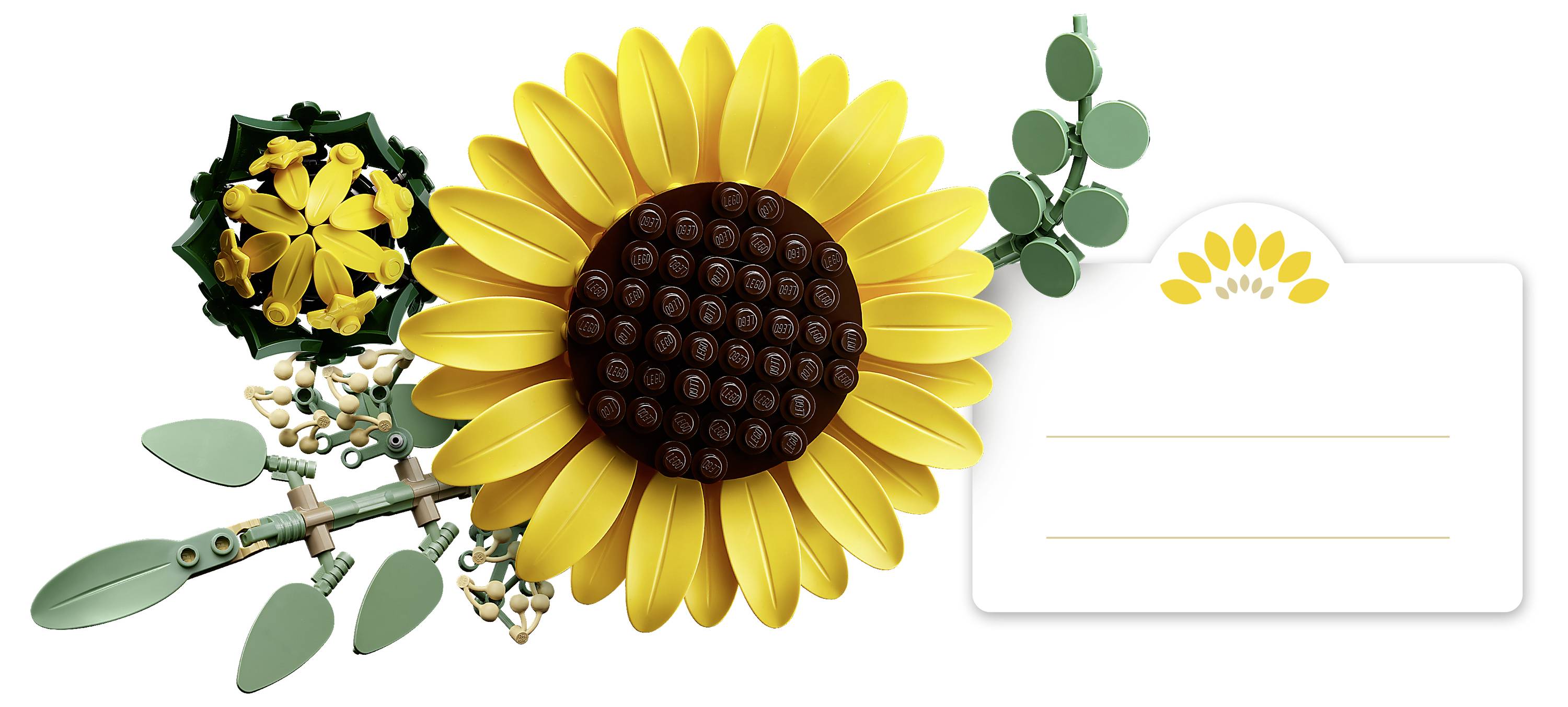 Egy napraforgó és egy kis csokor összefűzödő építőelemekből, egy üres kártya mellé, amelynek felső jobb sarkában egy apró napraforgó minta szerepel.