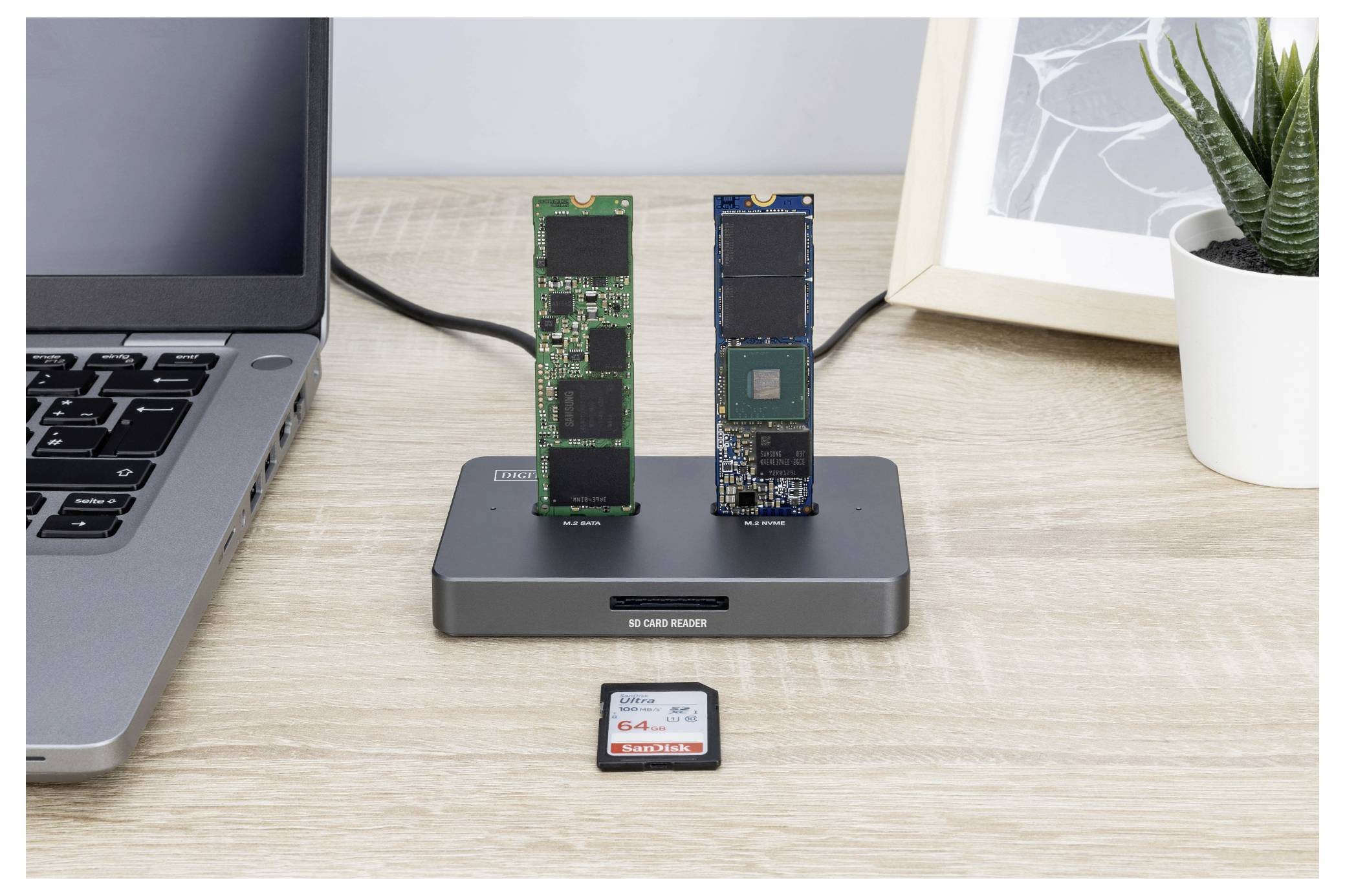 Laptop csatlakoztatva egy kétféle M.2 SSD dokkolóállomáshoz két behelyezett SSD-vel, egy keretezett kép és egy kaspóban lévő növény a háttérben.