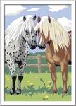Ravensburger festmény számokkal - boldog lovak