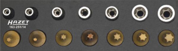 Hazet  163-251/14 TORX, Külső TORX Dugókulcs bit betét készlet 6.3 mm    14 részes 1/4" (6,3 mm)