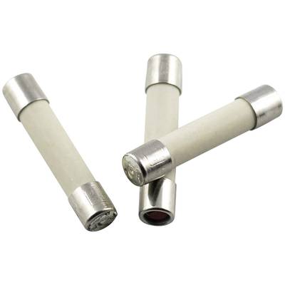 ESKA 528024 528024 Üvegcsöves biztosíték (Ø x H) 5 mm x 25 mm 5 A 250 V Középlomha -mT- Tartalom 200 db