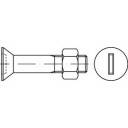 TOOLCRAFT 144345 Süllyesztett csavarok M16 45 mm Egyeneshornyú DIN 7969 Acél Tűzhorganyzott 50 db