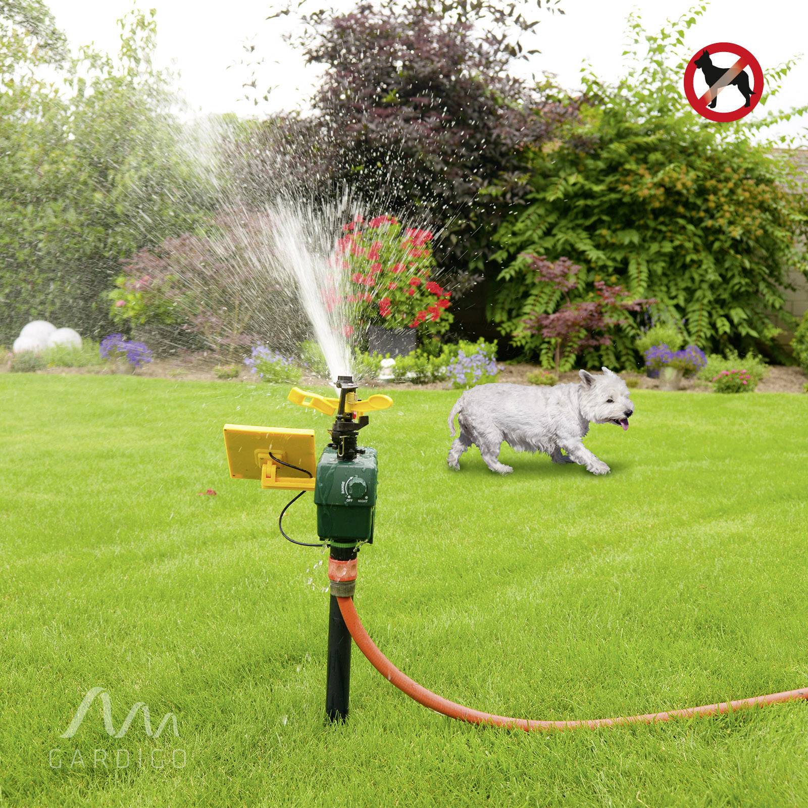 Napelemes, mozgásérzékelős vízsugaras kutya-, macska-, madár- és egyéb állatriasztó, Gardigo-7