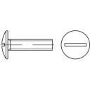 Csavarrajz: Egy laposfejű, hornyolt csavar oldalnézetben és felülnézetben.