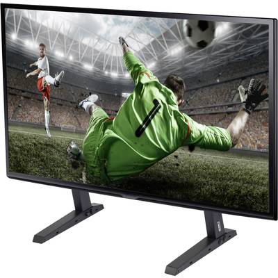 Egy piros mezős focista rúg egy labdát a kapu felé. A zöld mezős kapus megpróbálja védeni a lövést. A stadionban a nézők ünnepelnek.