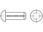 Félgömbfejű rovátkolt szeg 2 mm TOOLCRAFT TO-5454639 500 db