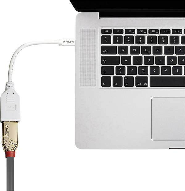 LINDY 41021 Kijelző csatlakozó / Mini DisplayPort Átalakító kábel [1x DisplayPort alj - 1x Mini DisplayPort dugó] Fehér  15.00 cm