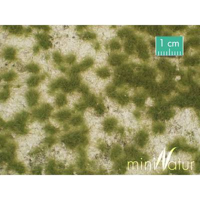 Mininatur 719-21 S Terepszőnyeg Karsztos talajú rét (H x Sz) 315 mm x 250 mm