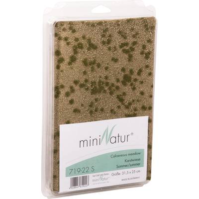 Mininatur 719-22 S Terepszőnyeg Karsztos talajú rét (H x Sz) 315 mm x 250 mm