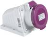 Schneider Electric 82101 82101 CEE fali dugalj 16 A 25 V 1 db
