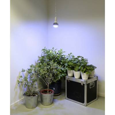 Venso Növény lámpa  136 mm 230 V E27 18 W  Semleges fehér Reflektor  1 db
